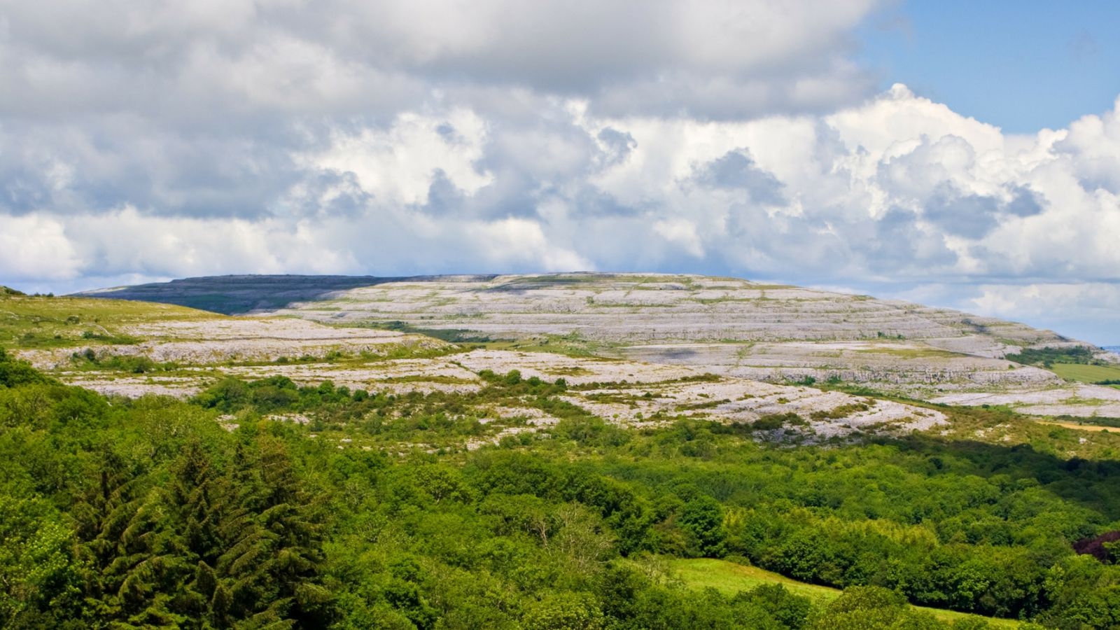 The Burren Landscape